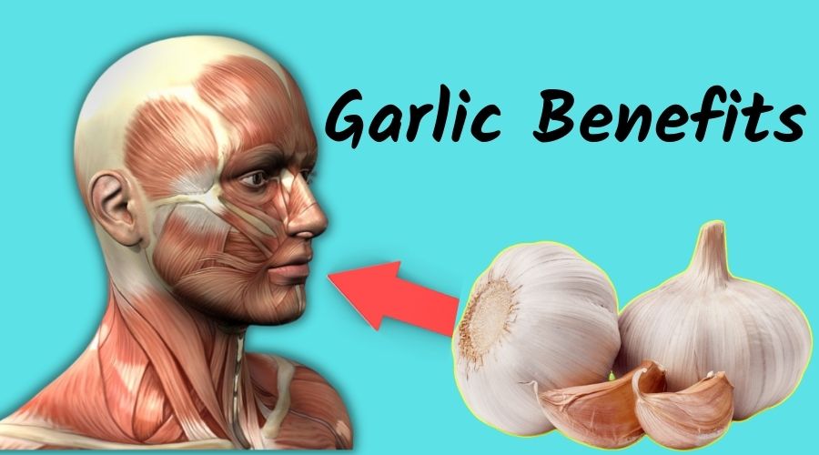 Garlic Benefits