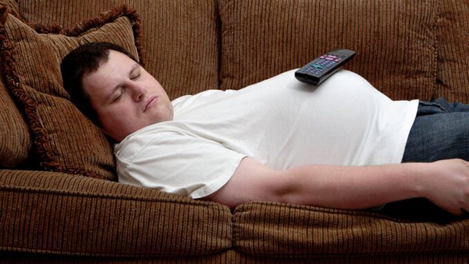 belly-fat